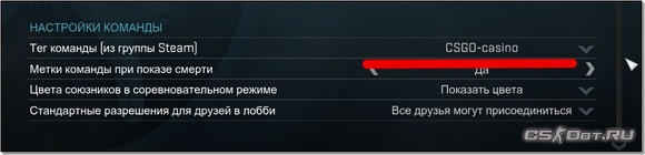 Теги кланов в CS:GO. Как изменить клан-тег в STEAM для кс го.