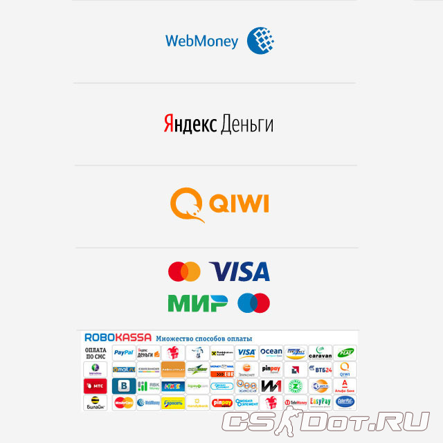 DS-Host оплата серверов кс