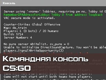 Консоль командная CS GO